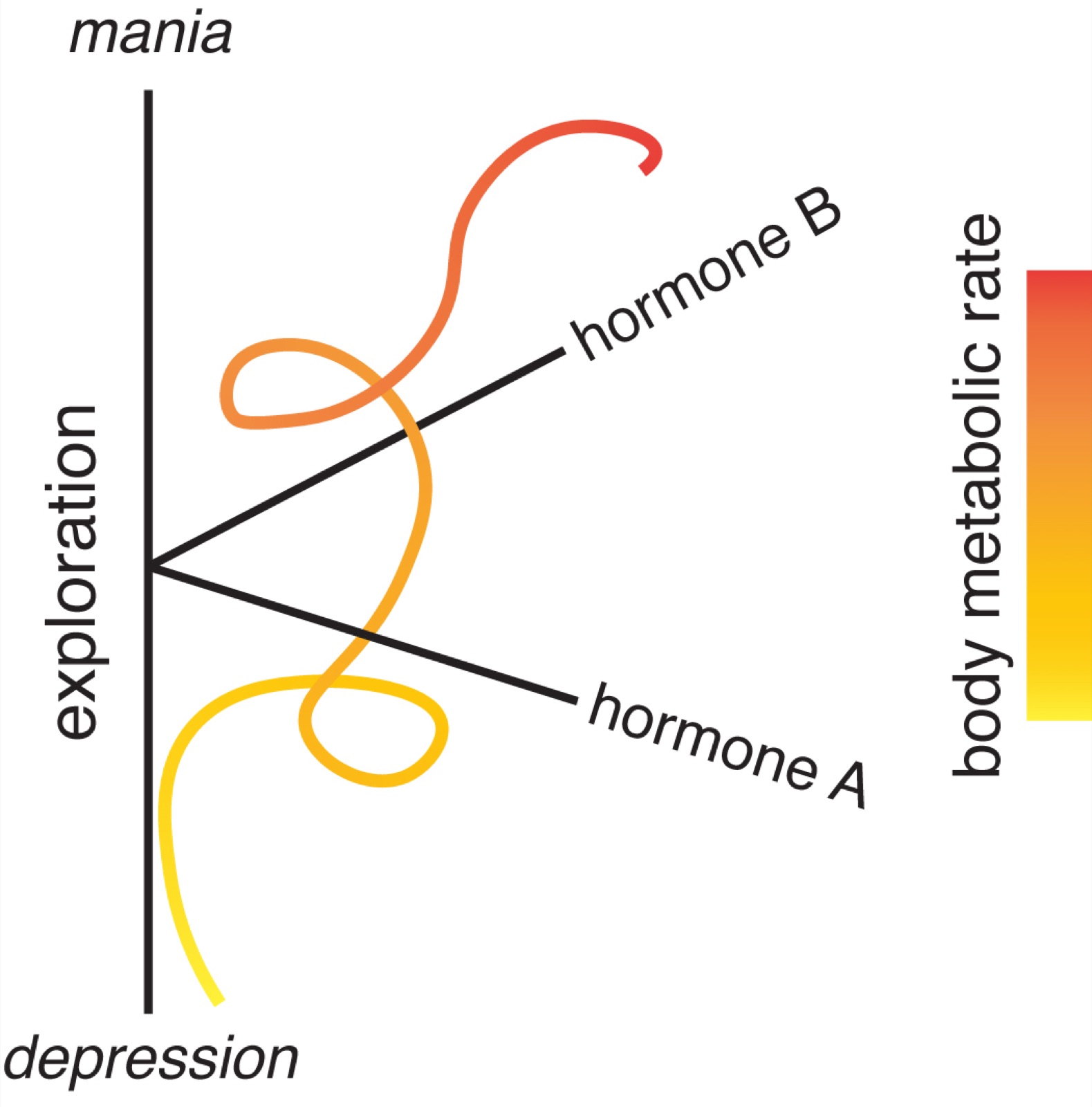 Schematic: trajectories through a space spanned by mood, from depression to mania, and exploratory behavior, colored by body metabolic rate.